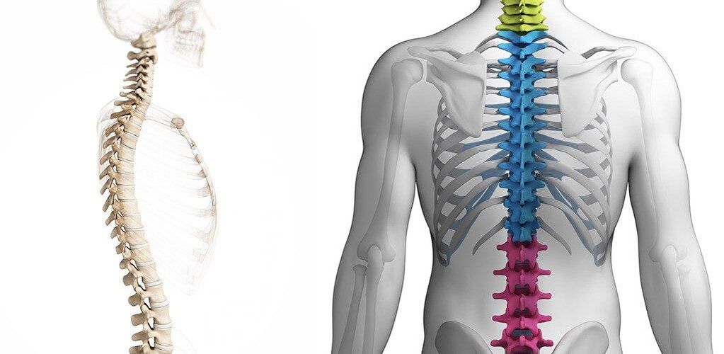 lesions of the thoracic spine in osteochondrosis